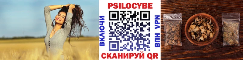 hydra   наркошоп  Тейково  Псилоцибиновые грибы мицелий 
